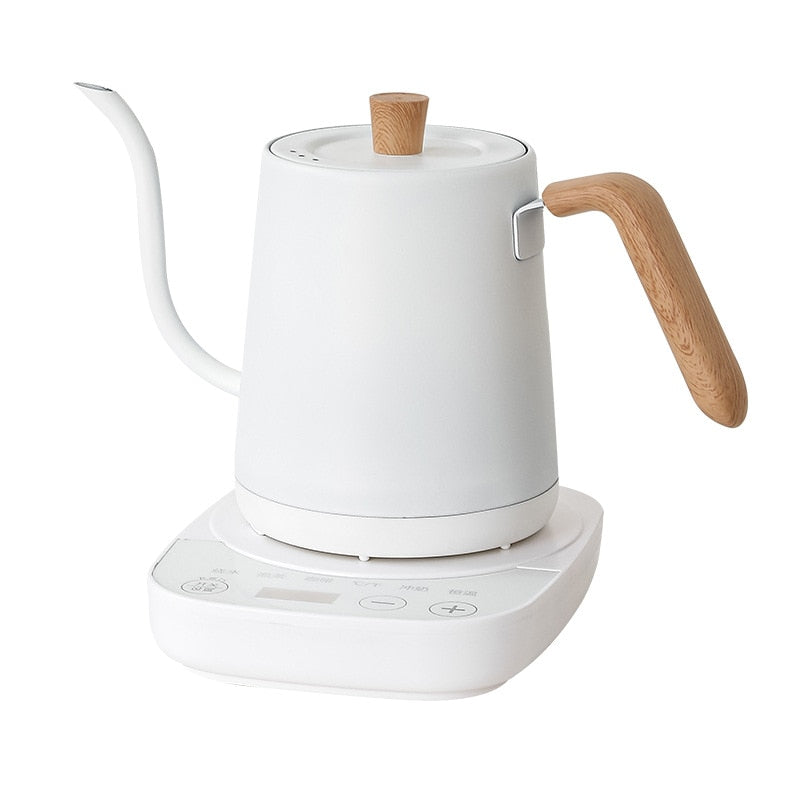 110V/220V Electric Kettle Hand Brew